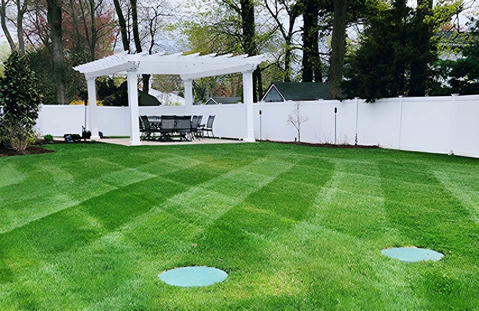 Alpha Lawn Care Services